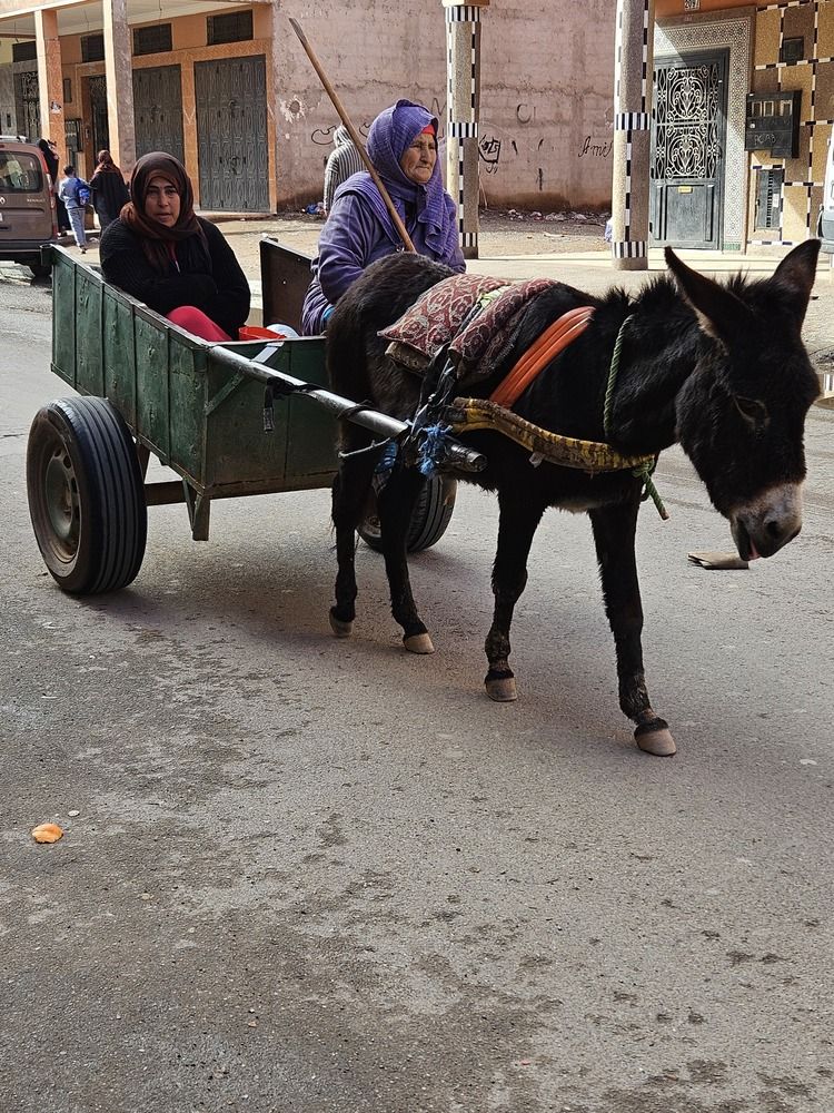 Two women on carriage with donkey