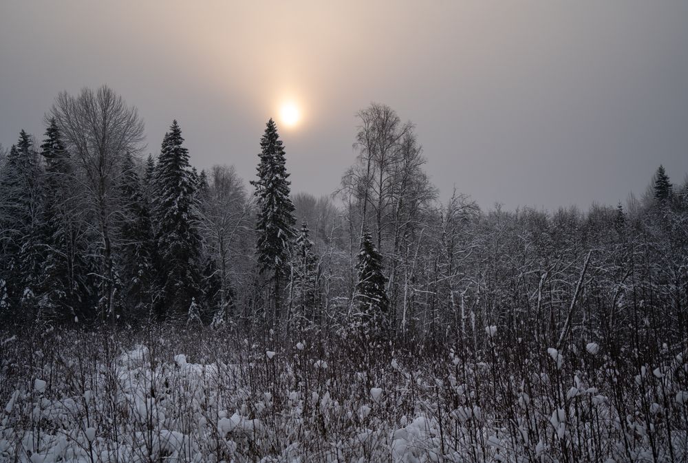 Фотография автора Aleksandr Ilyin