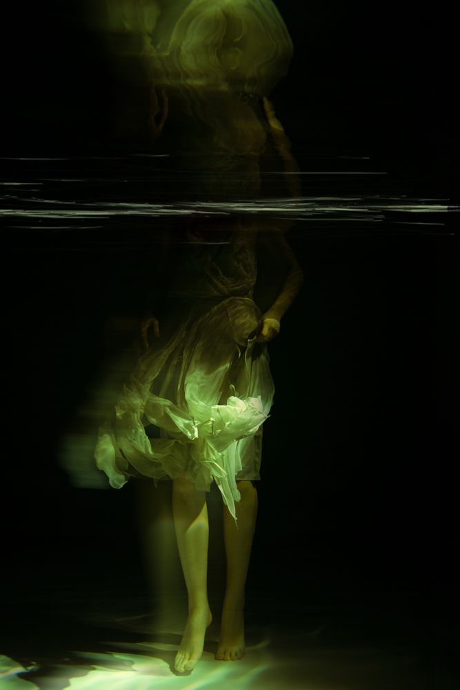 Photo #13109960