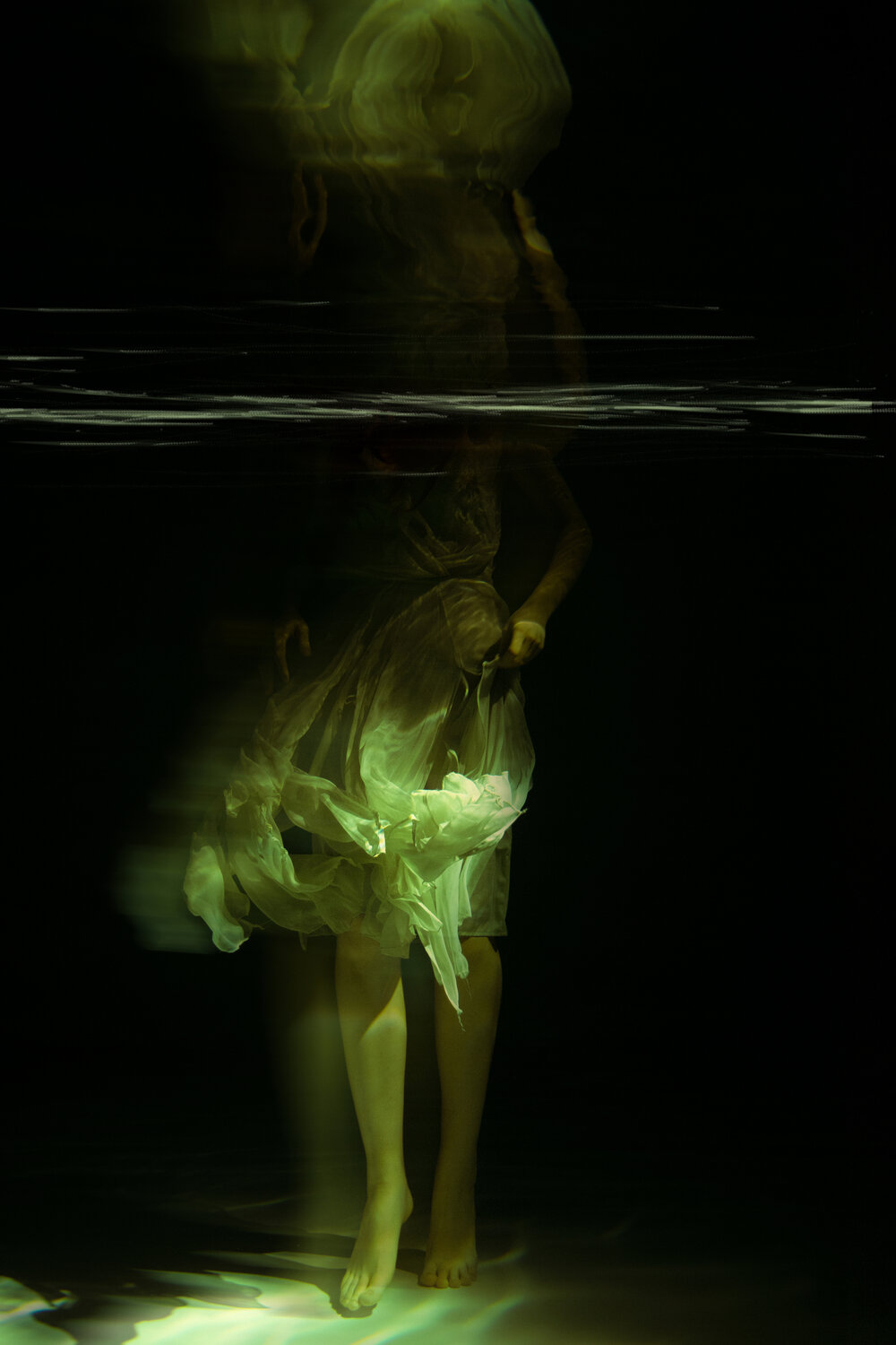 Photo #13109960