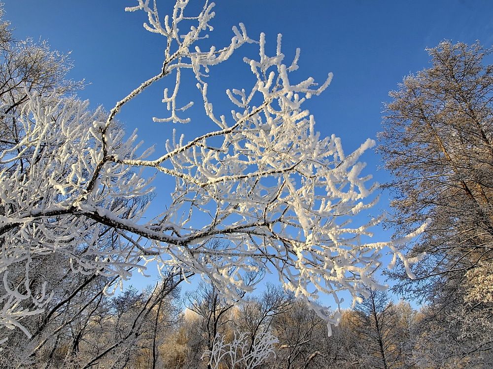 Фотография автора Игорь Чеботарёв