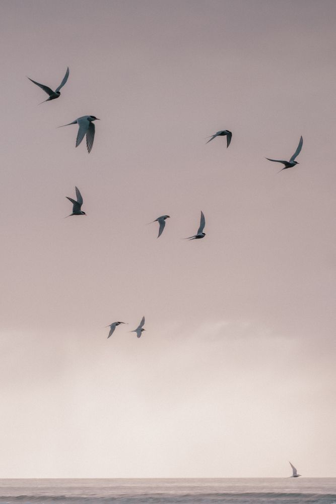 Photograph by Angela