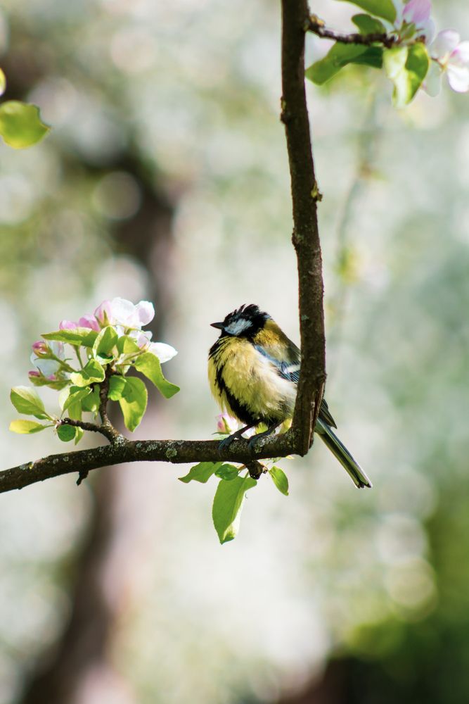 Фотография автора Денис Мартыновский