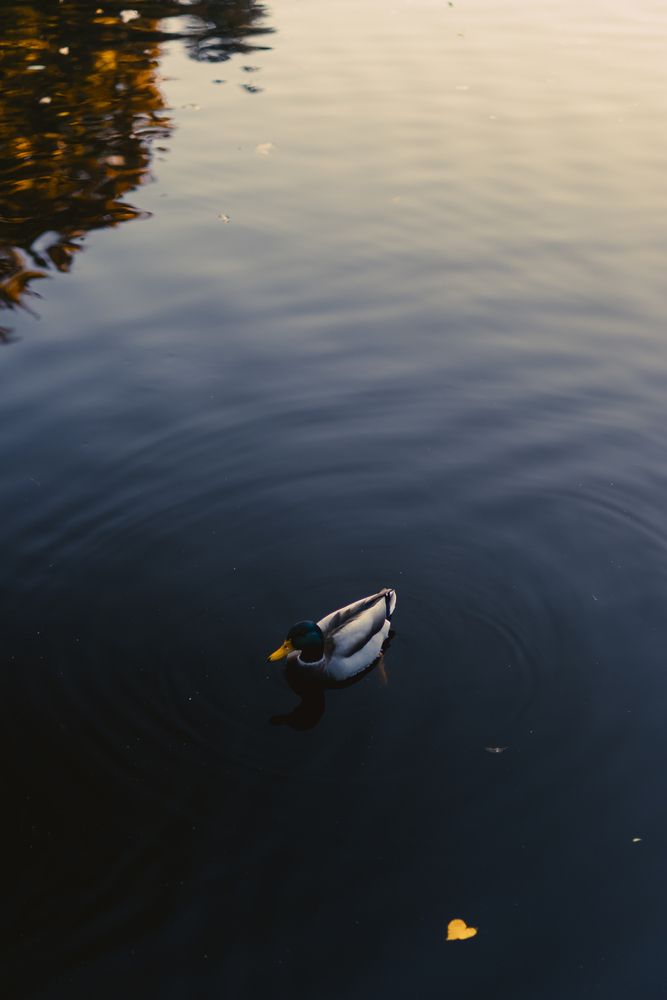 Photograph by Артем Гатин