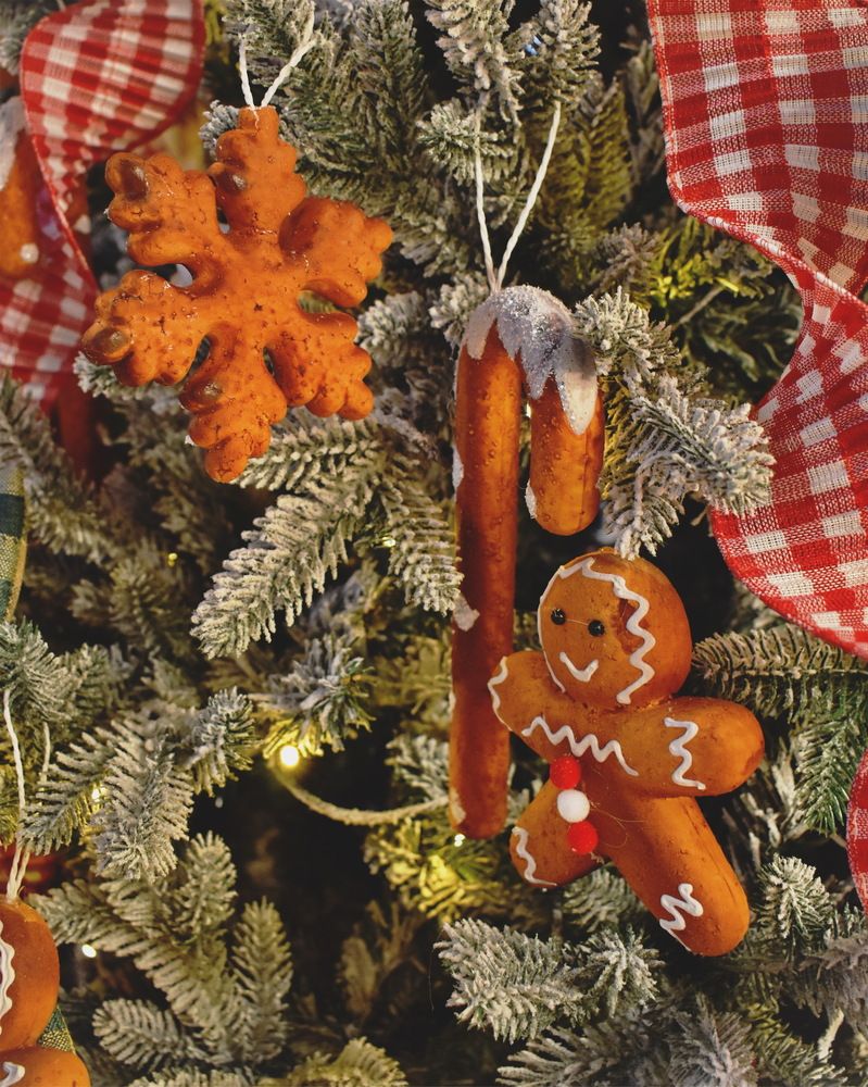 Фотография автора Марина Колядина