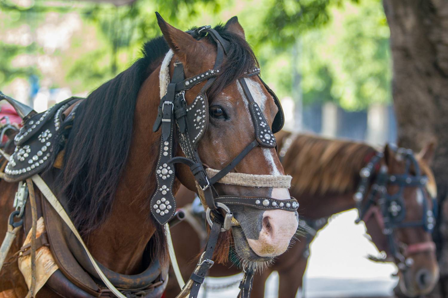 Фотография #13110124