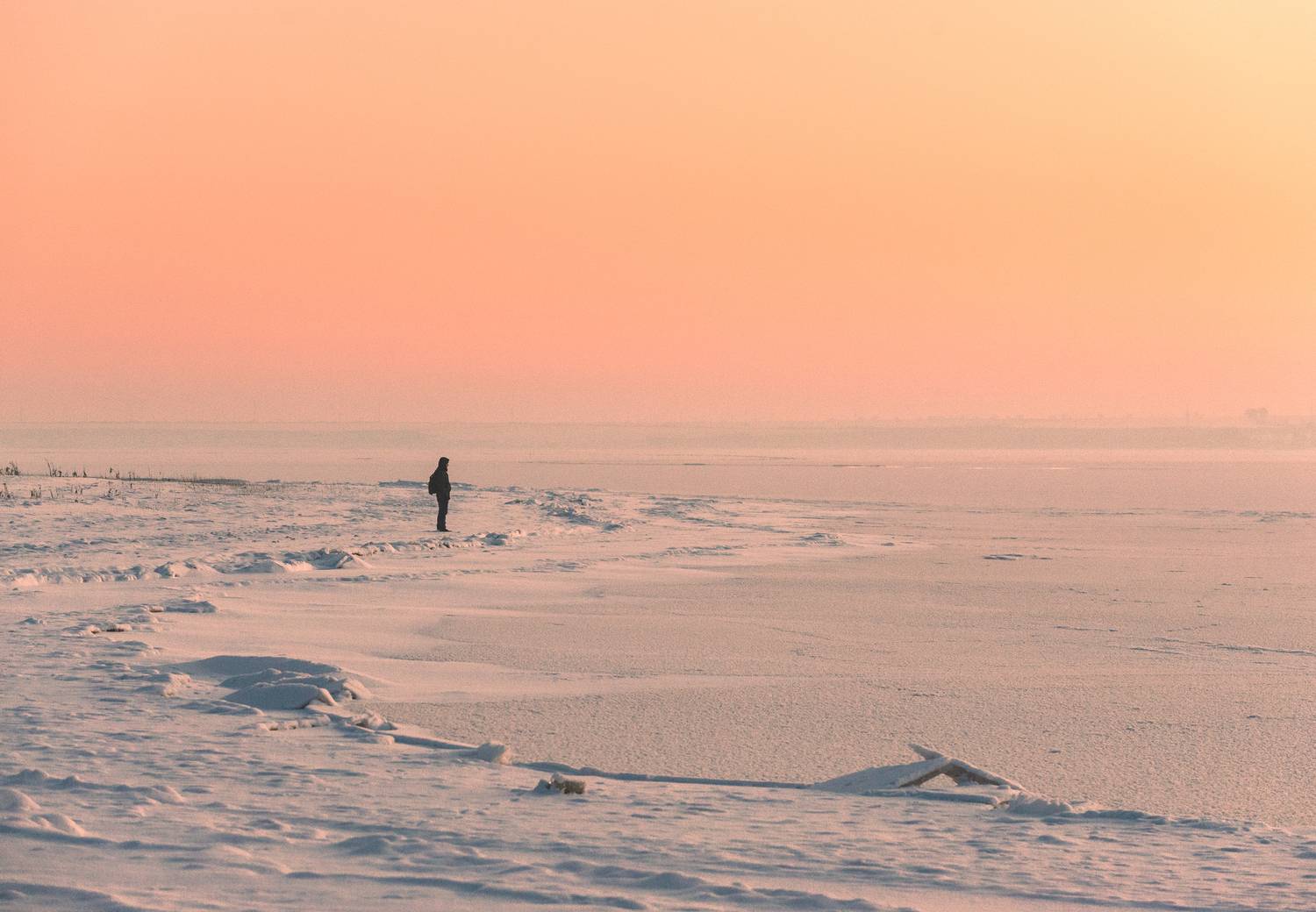 Фотография #13110128