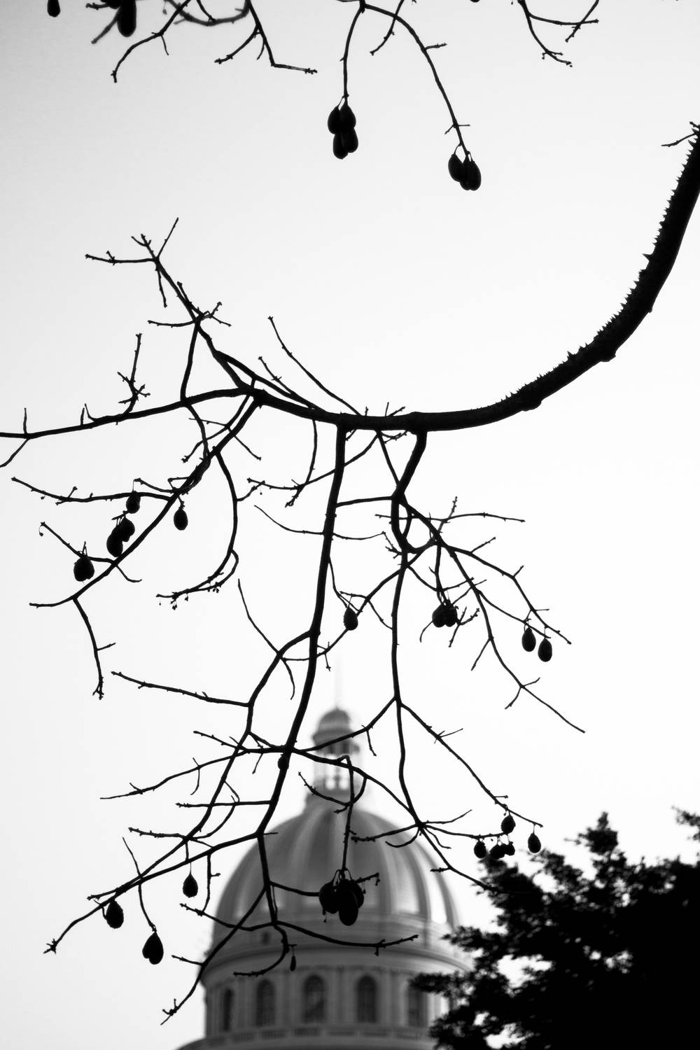 Фотография #13110130