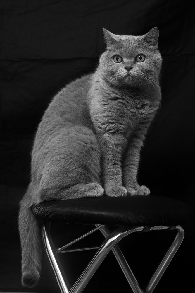 Photograph by Akhmed Sheriev