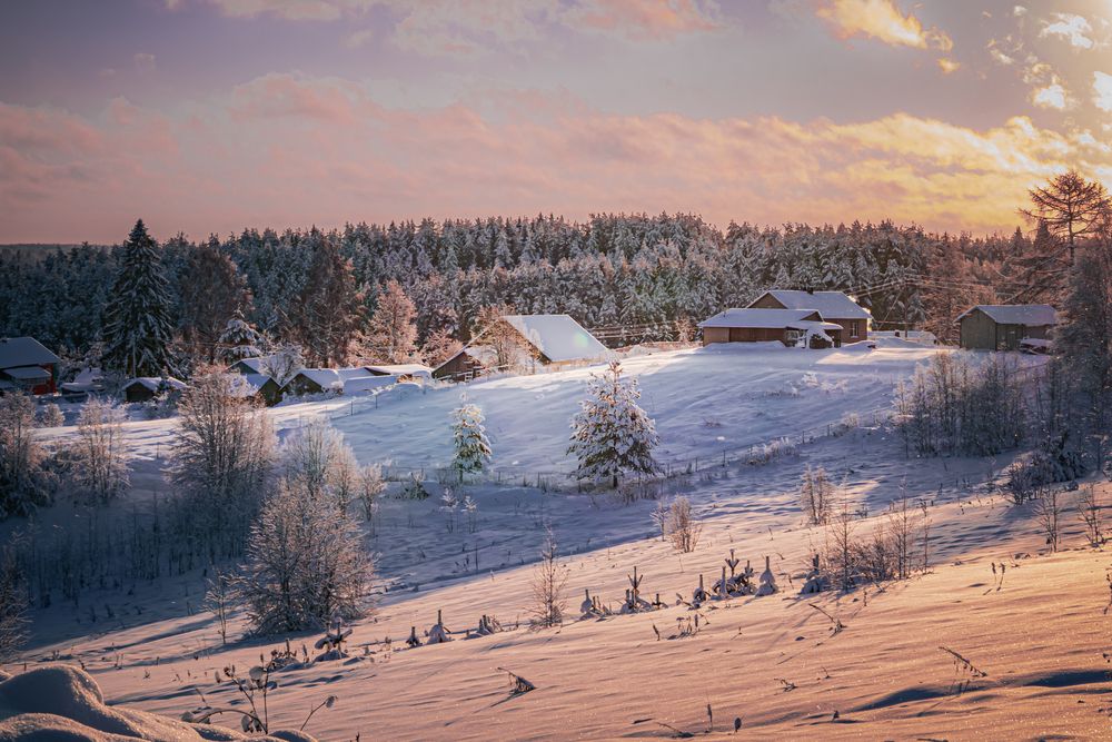 Фотография автора Настя Салтыкова