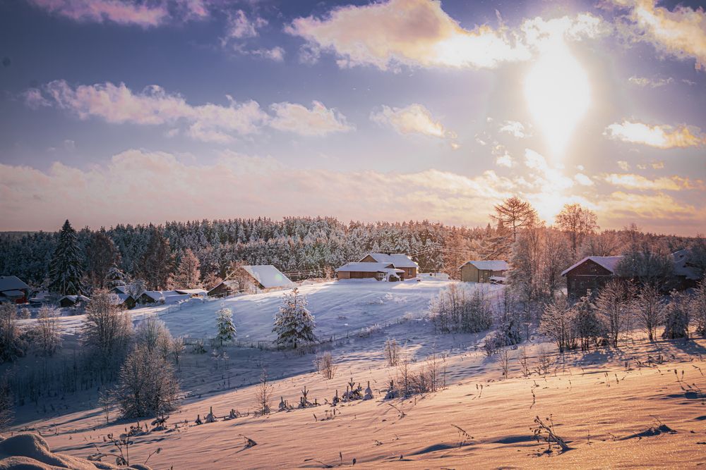 Фотография автора Настя Салтыкова