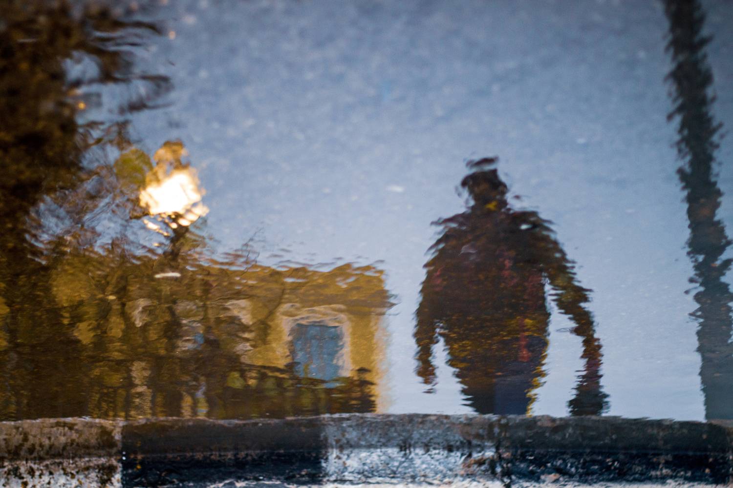 Фотография #13110177