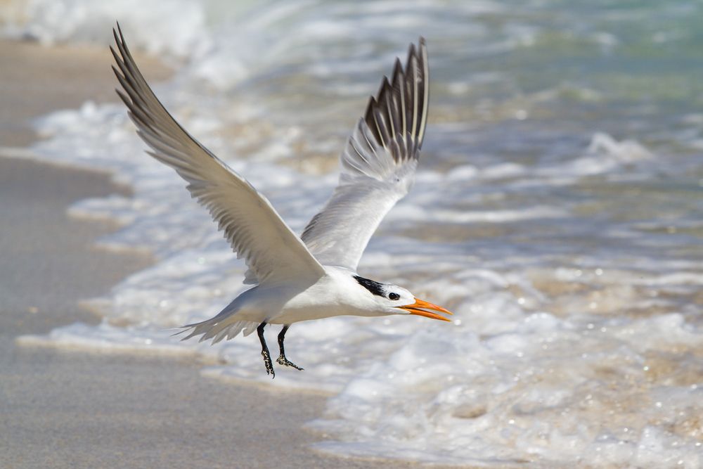 Photograph by Evelyn Carnot Montes