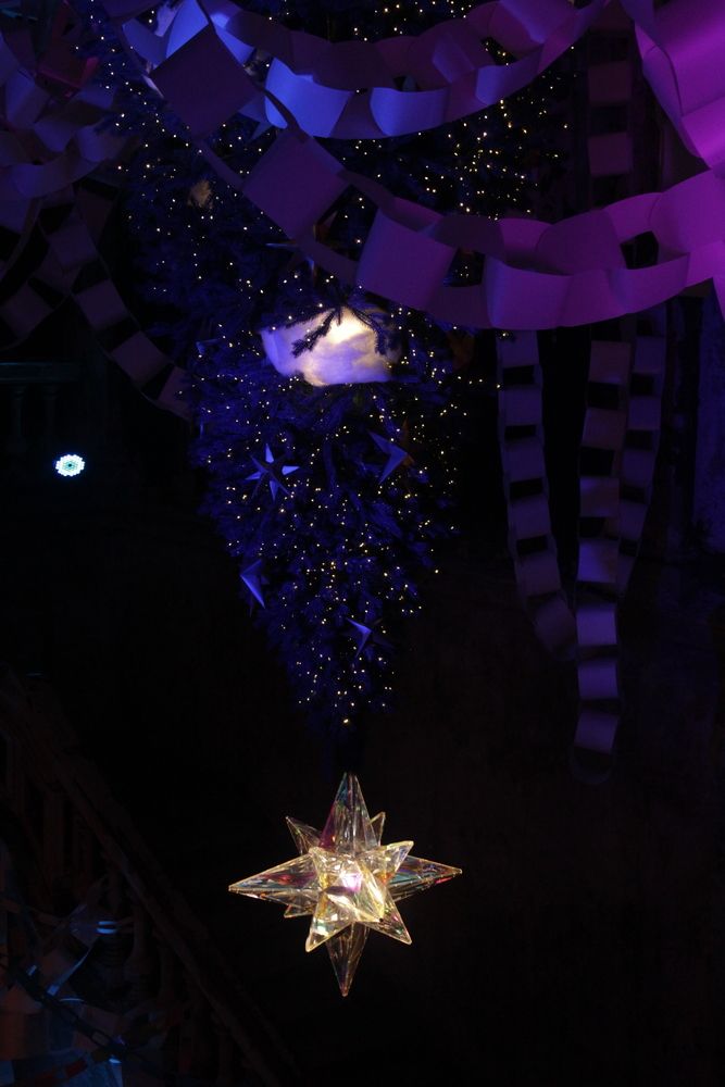 Фотография автора Тори