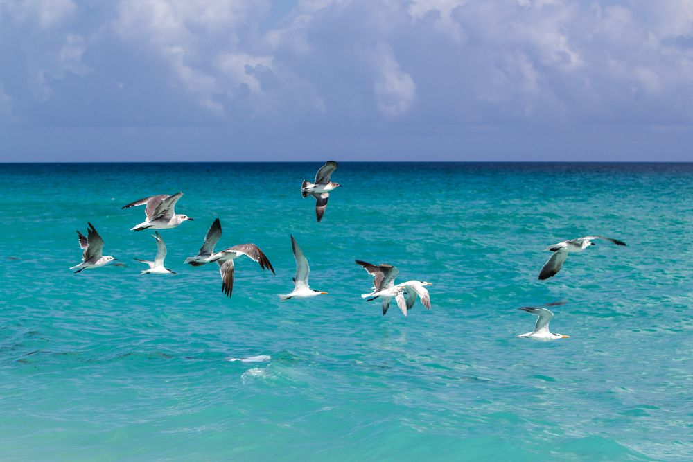 Photograph by Evelyn Carnot Montes