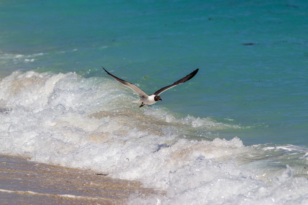 Photograph by Evelyn Carnot Montes