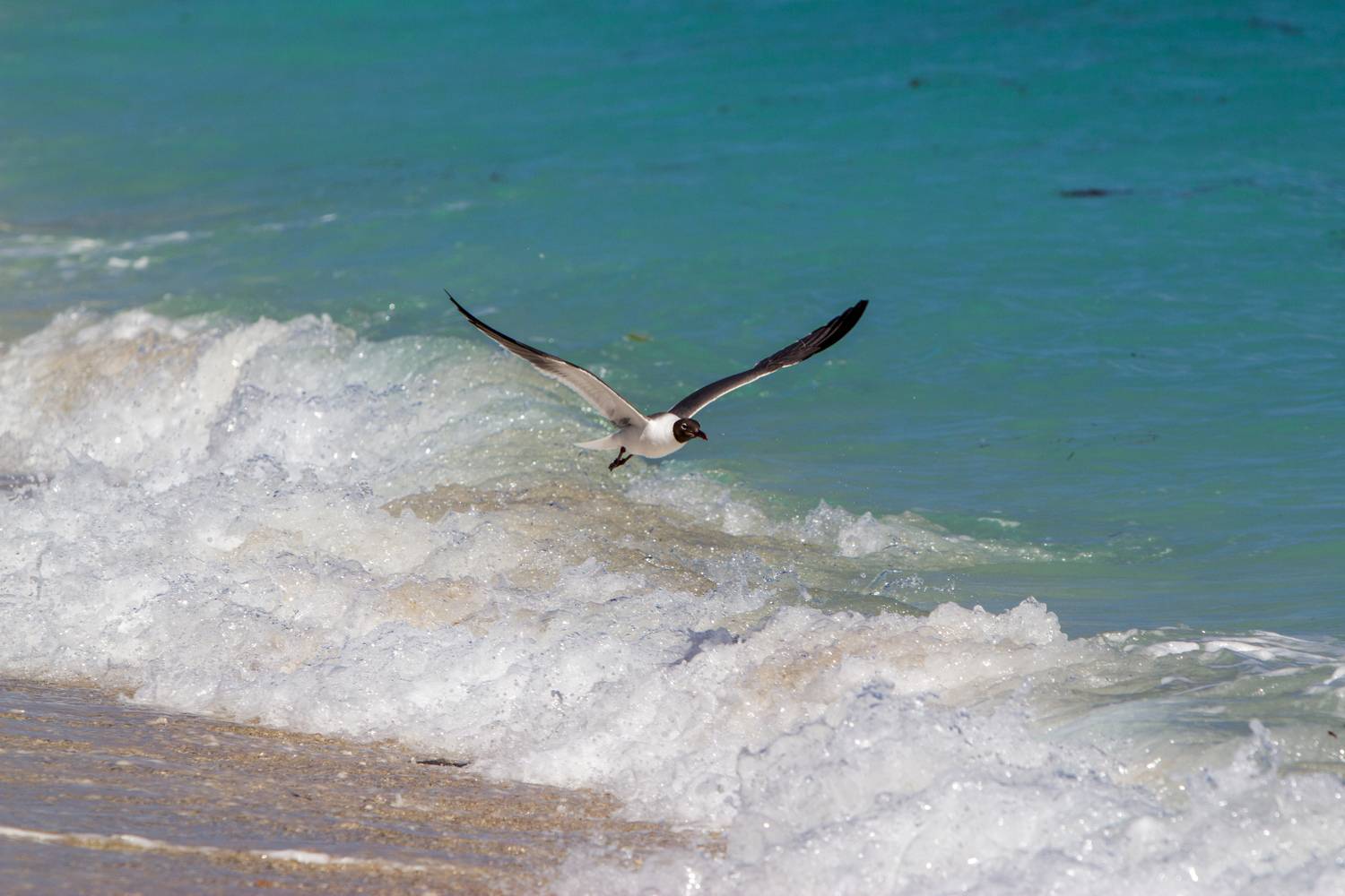 Фотография #13110192