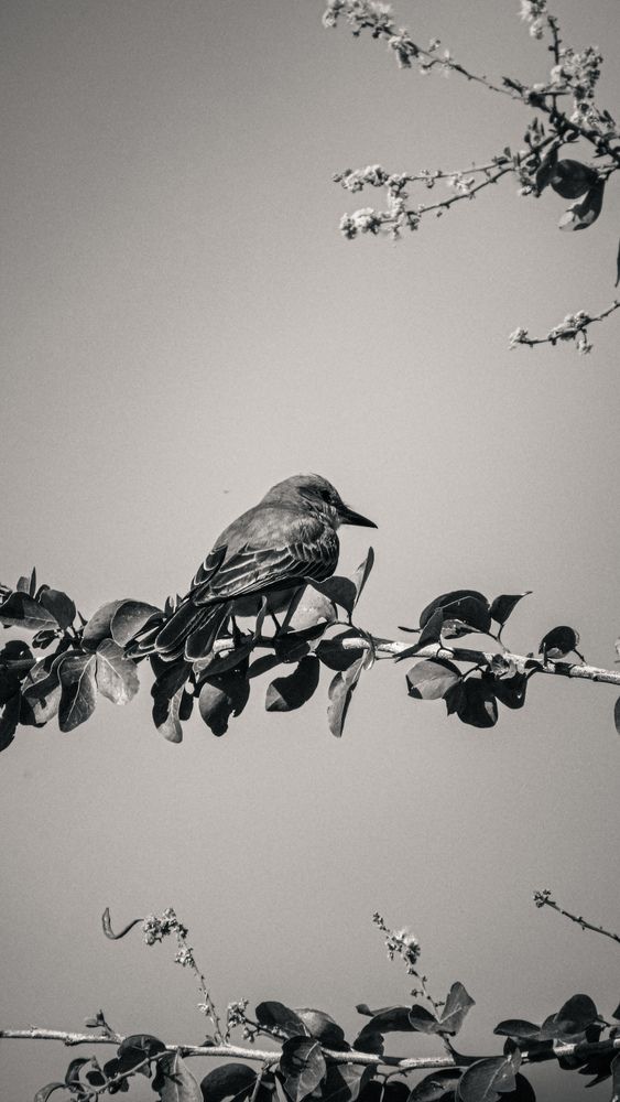 Photograph by Daniel Pichardo