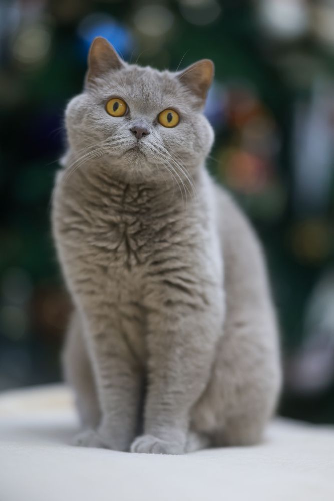 Photograph by Akhmed Sheriev