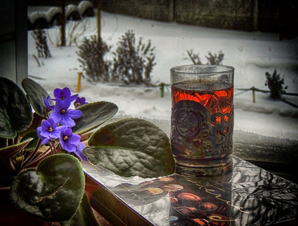 Фотография автора Савоцкий Роман