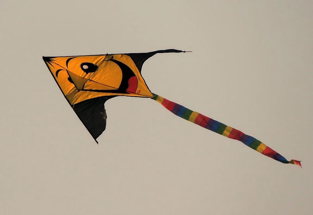 Фотография автора Роман Савоцкий