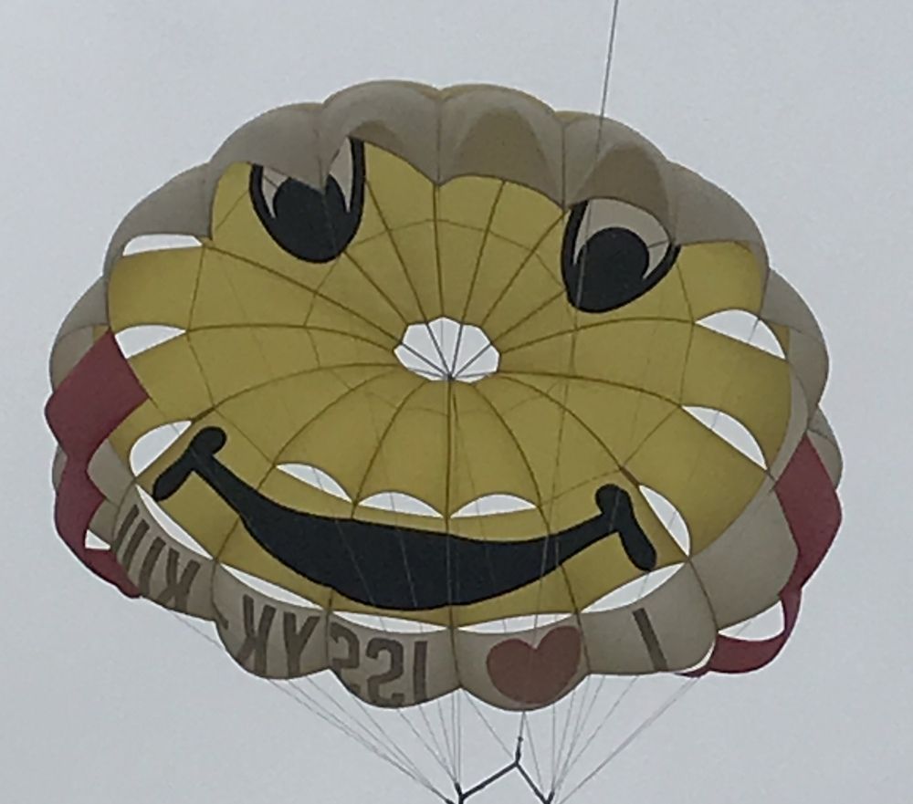 Фотография автора Амирова Анар