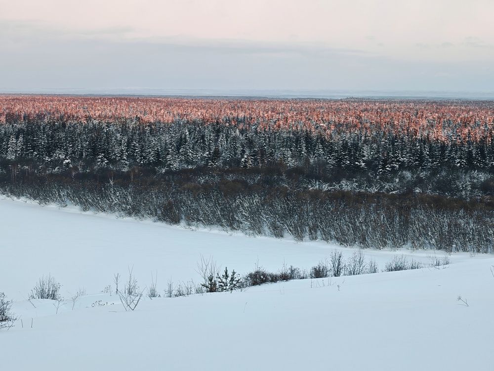 Photograph by Наталья Половая