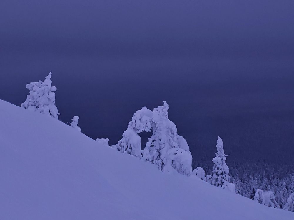 Photograph by Наталья Половая
