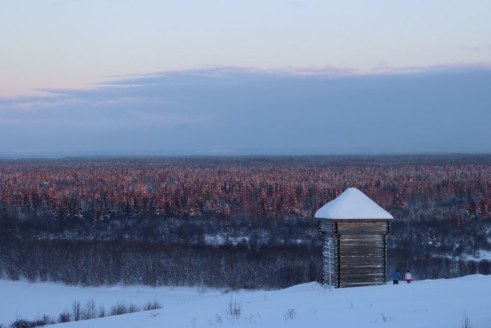 Photograph by Наталья Половая