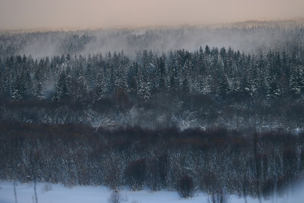 Photograph by Наталья Половая