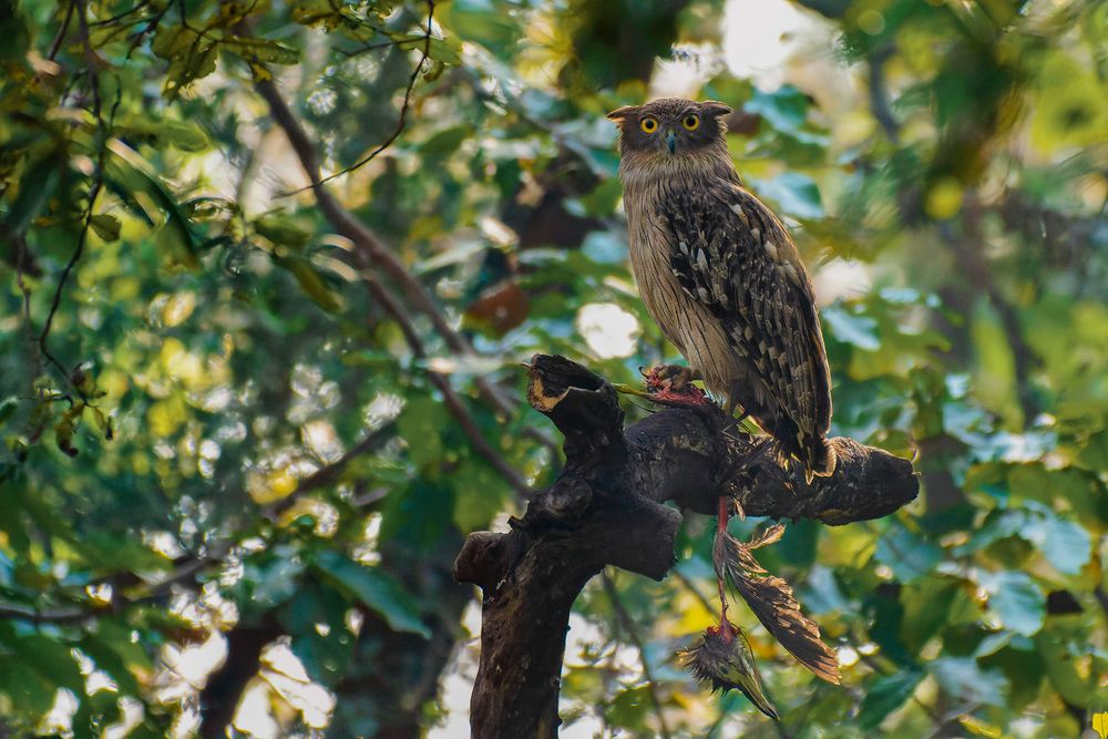 ????? ???? ??? ???? ???? ???? ?????.