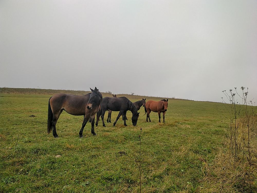 Photograph by Виталий Маслов