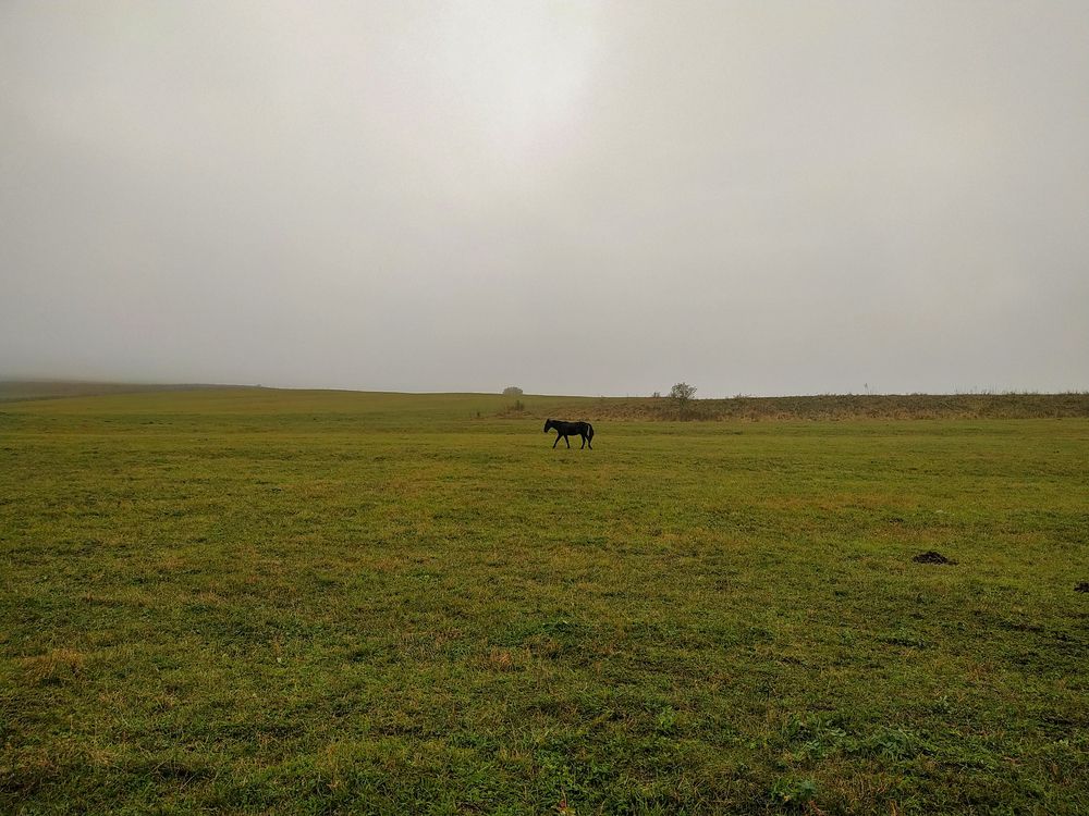 Photograph by Виталий Маслов