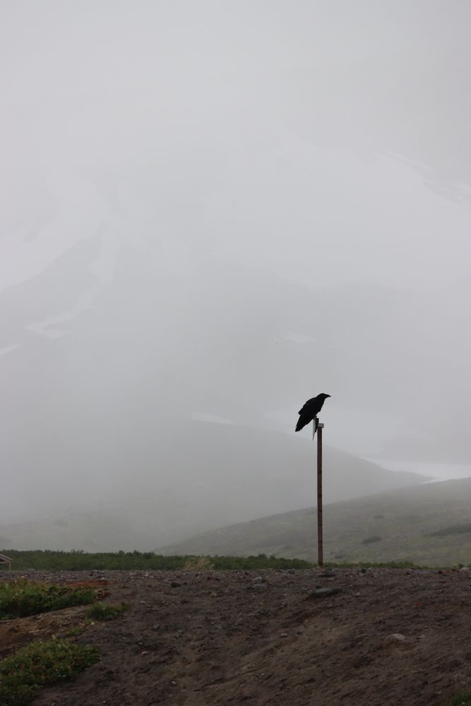 Photograph by Наталья Половая