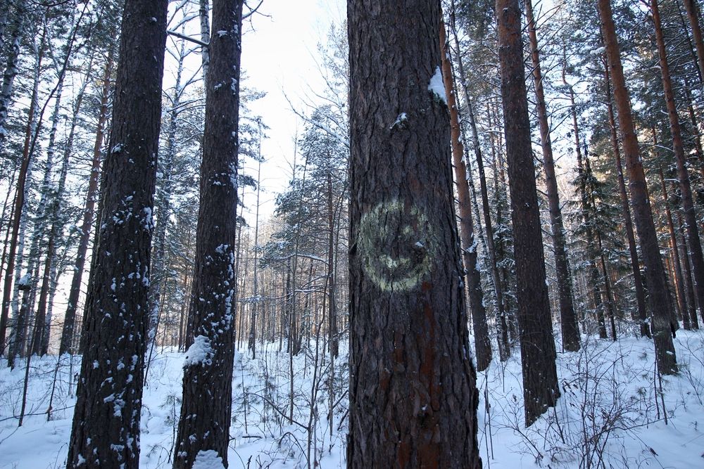 Photograph by Екатерина Солохина