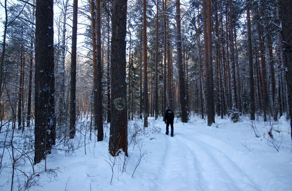 Photograph by Екатерина Солохина