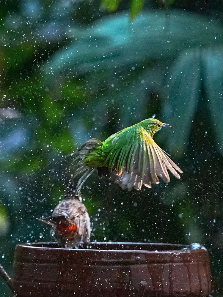 Фотография автора Sahil K