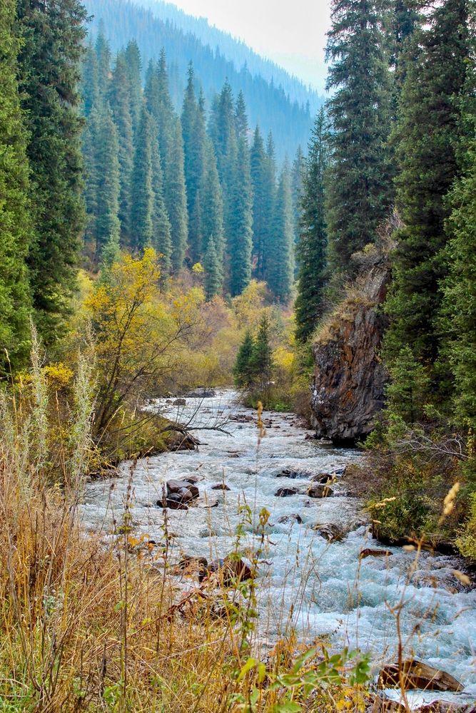 Фотография автора Марина Борисова