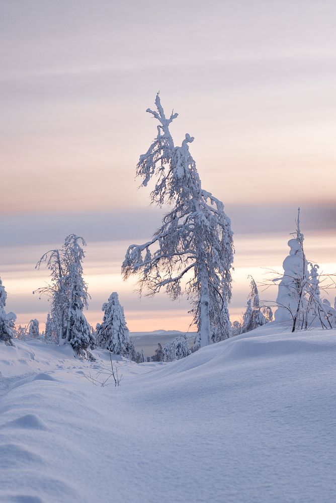 Photograph by Валерия Владимировна