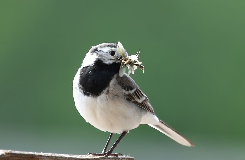 Photograph by Юрий Кетель