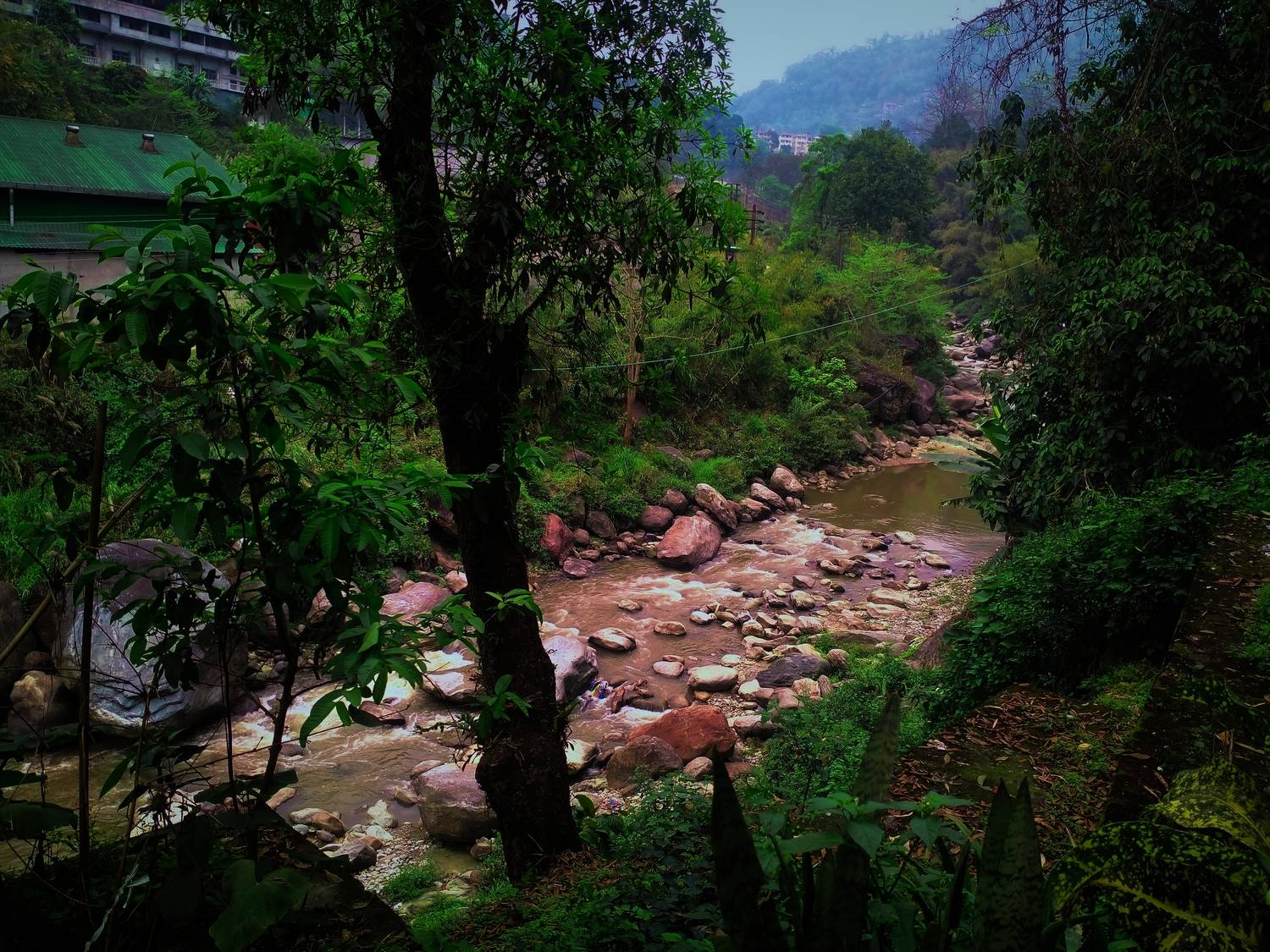 Photo #13110559