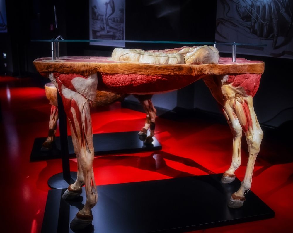 Фотография автора arkadii Anufriev