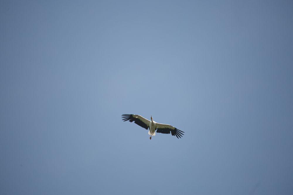 Photograph by Дарья Улюсова