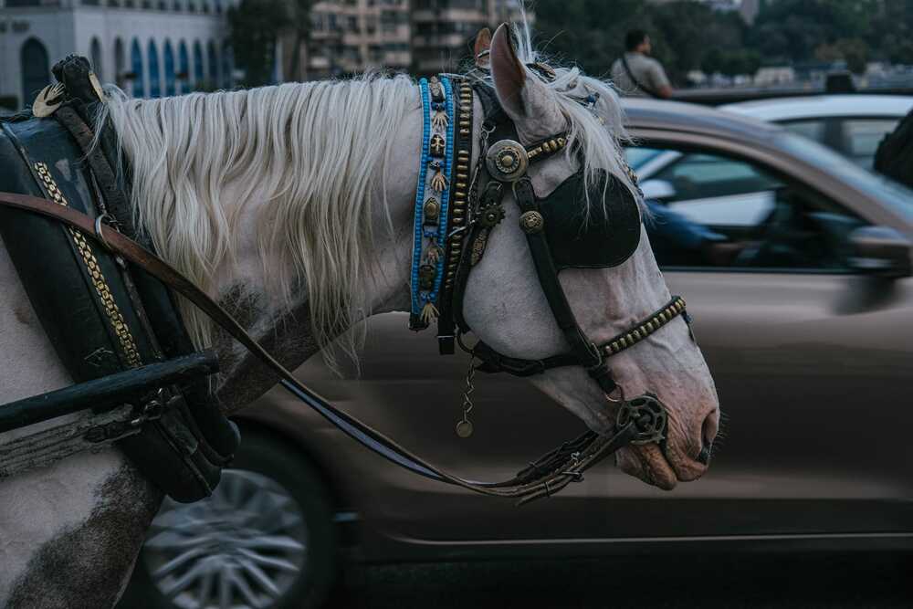Photograph by Hakan Tunc