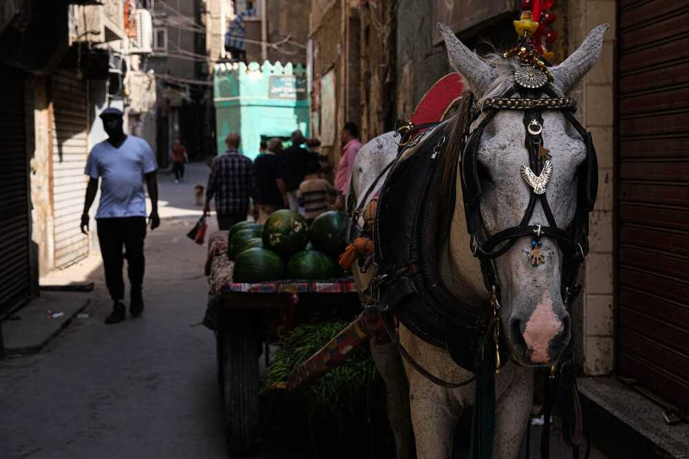 Photograph by Hakan Tunc
