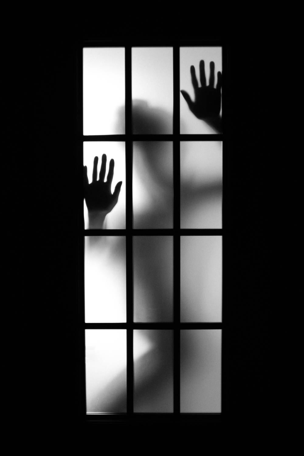 Фотография #13110681