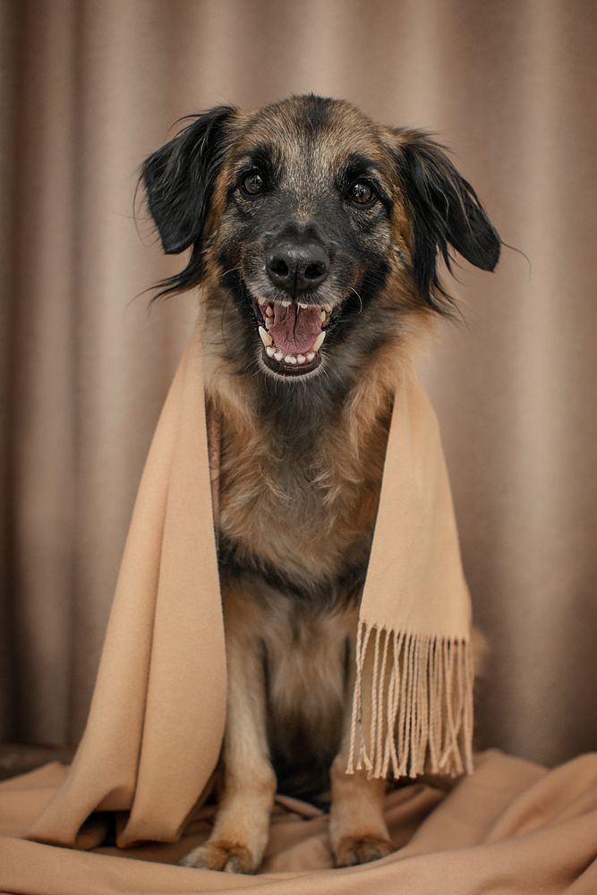 Photograph by Альфия Агзами