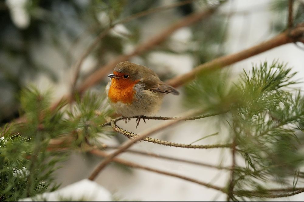 Photograph by Ольга Новикова