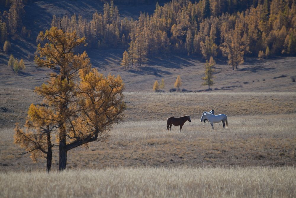 Photograph by Margareth Tikhonova