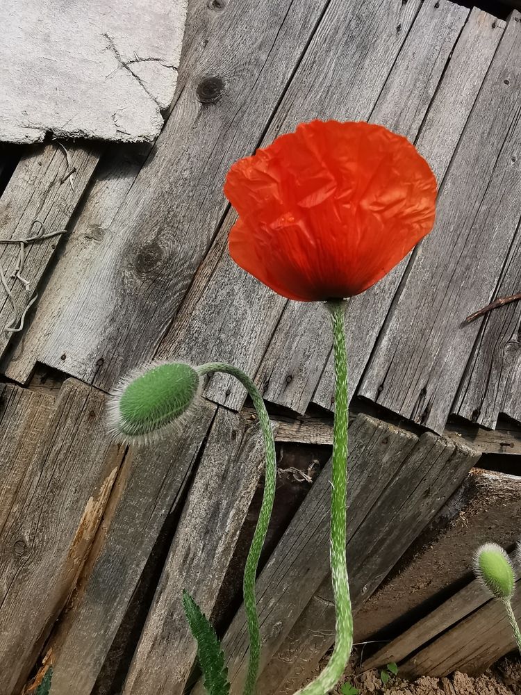Photograph by Людмила Орловская
